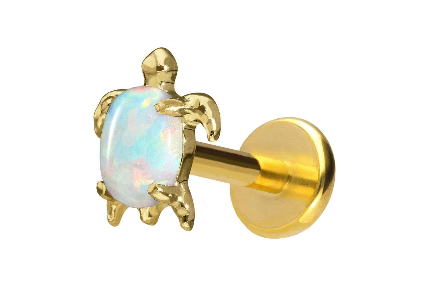 Titan Labret Piercing mit Push Fit SCHILDKRÖTE